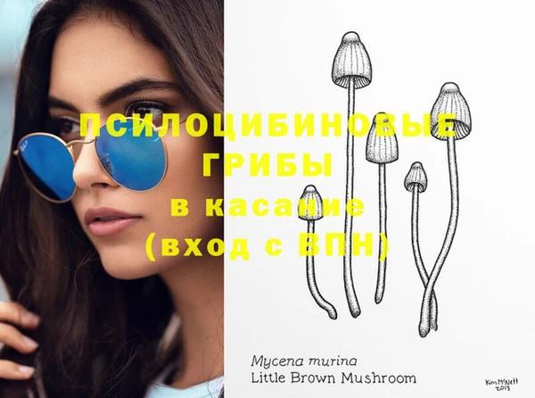 2c-b Усинск