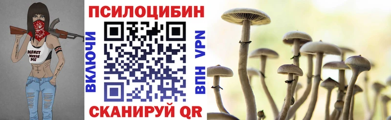 Псилоцибиновые грибы Psilocybine cubensis  Боровск 